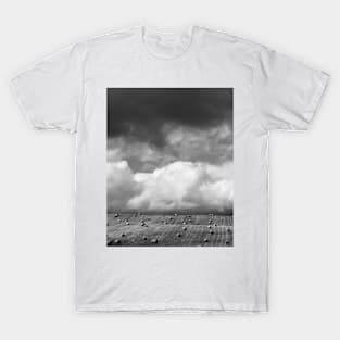 Bales in BW. Sicily T-Shirt